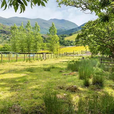 Nest Farm